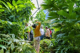 Students in the greenhouse